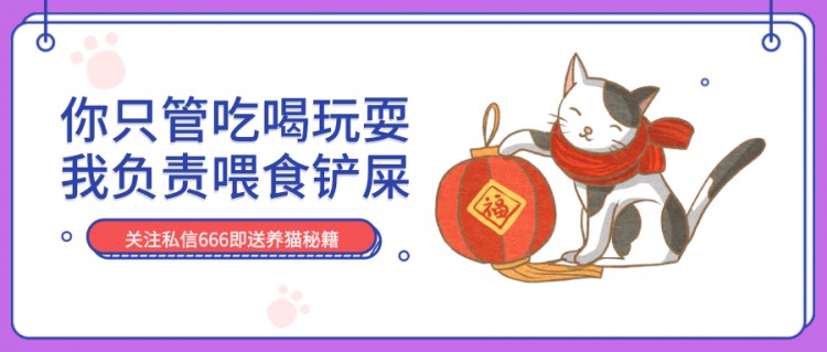 养猫之后，吃饭竟然变成了一件难事？